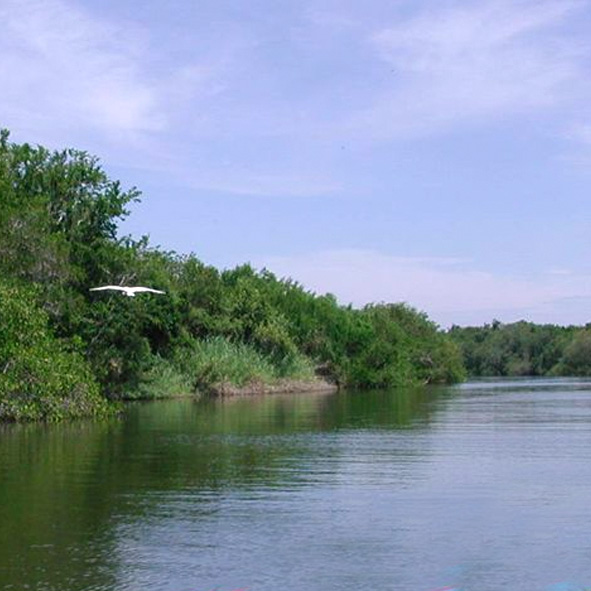 Laguna de Tres Palos 